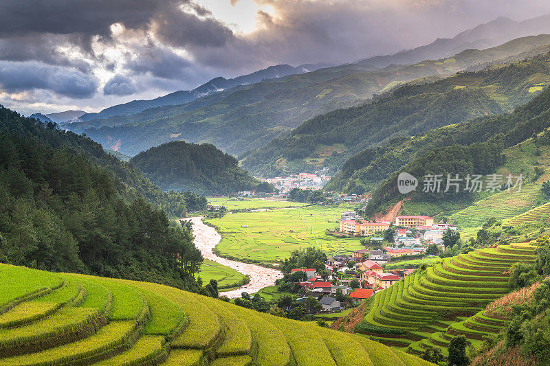 绿色的自然稻田梯田在雨季在木仓寨，Yen Bai, famsu旅游景点越南。越南西北部准备移植的稻田